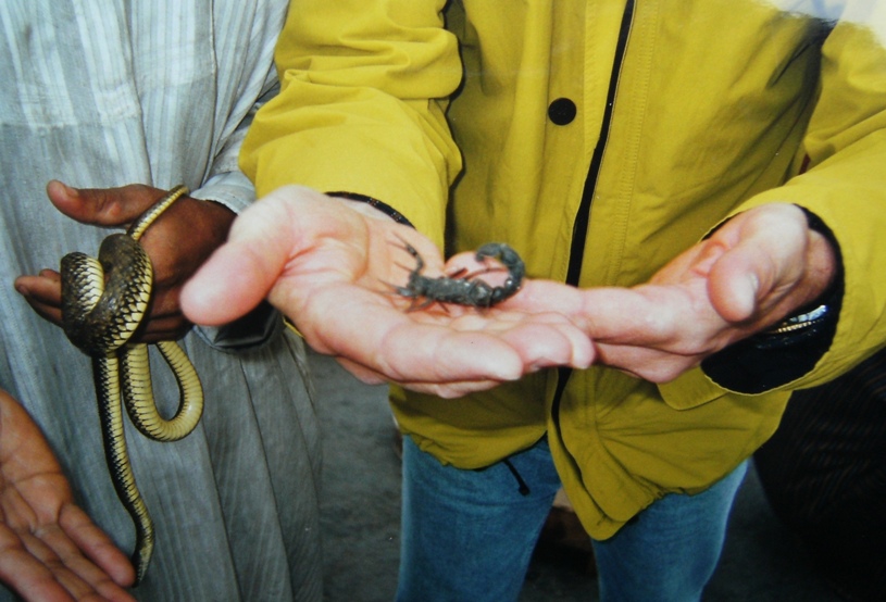 Incantatori di serpenti in Marocco